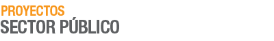 Sector público